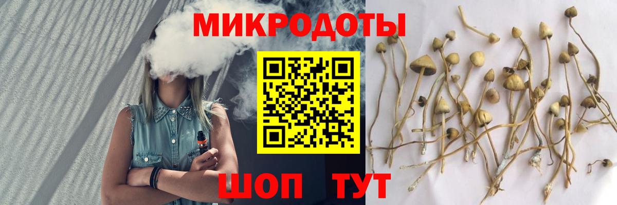 Псилоцибиновые грибы Psilocybine cubensis Сатка